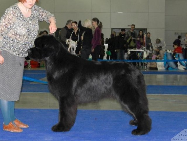 Фотография № 62760