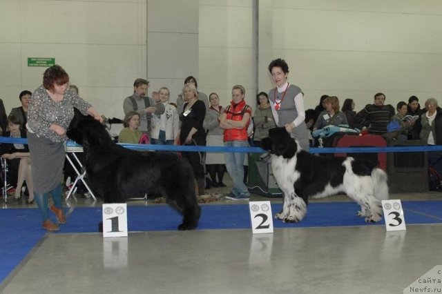 Фотография № 62761