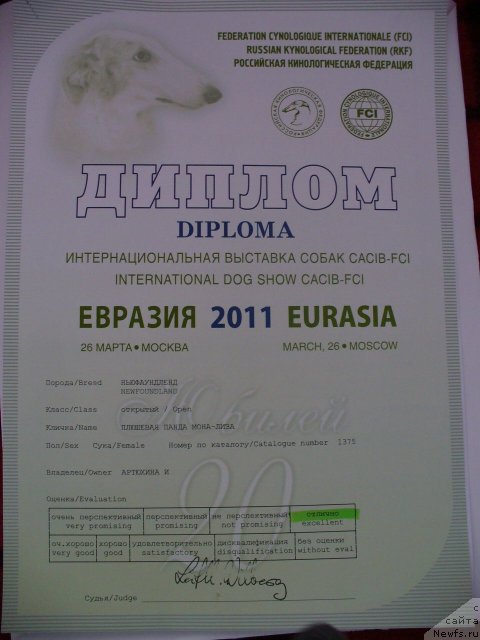 Фотография № 62762