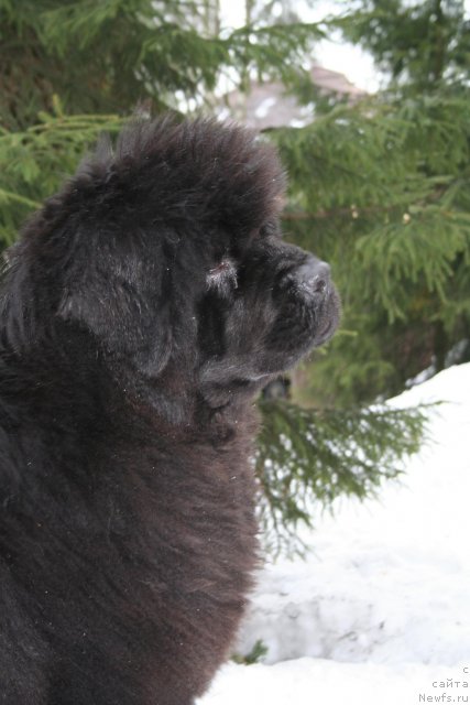 Фотография № 62787