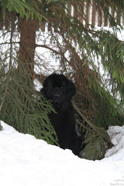 Фотография № 62789