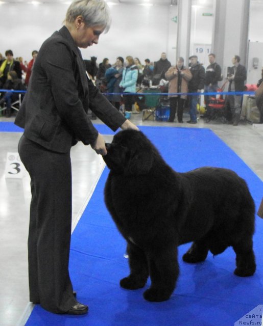 Фотография № 62816