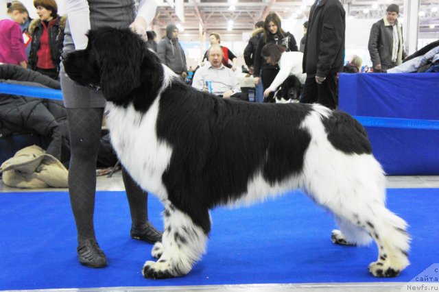 Фотография № 62822