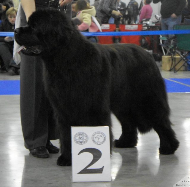 Фотография № 62825