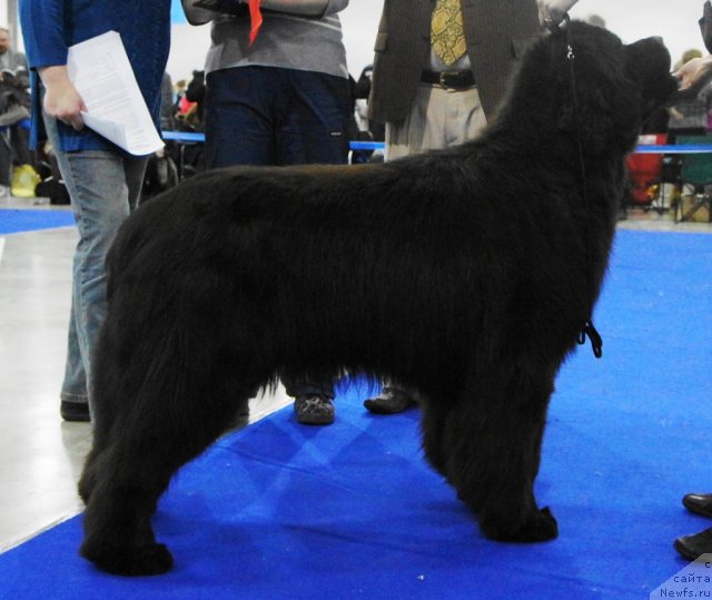 Фотография № 62826