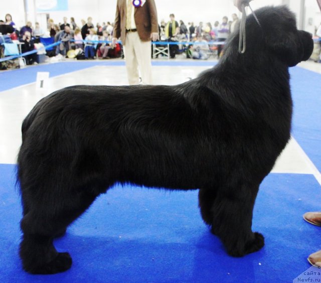 Фотография № 62828