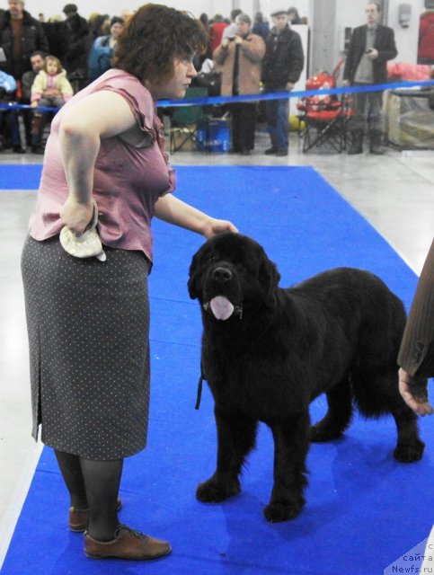 Фотография № 62831