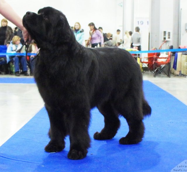 Фотография № 62833