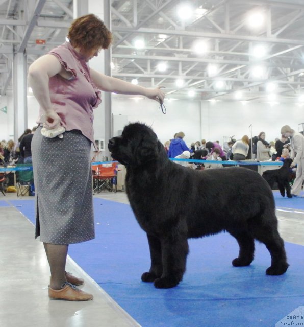 Фотография № 62835