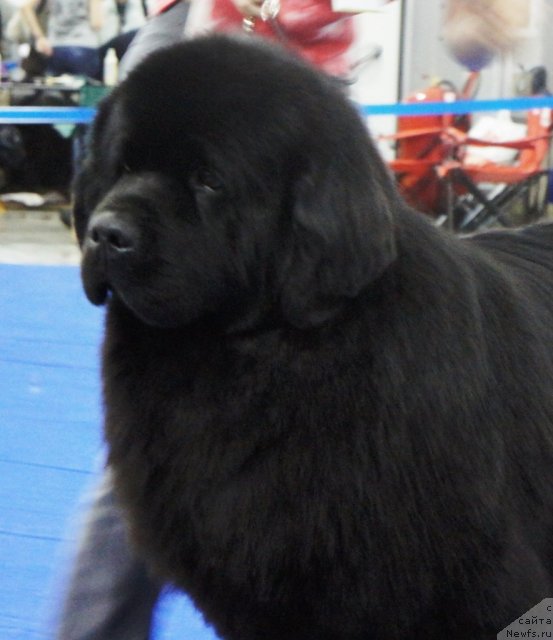 Фотография № 62836