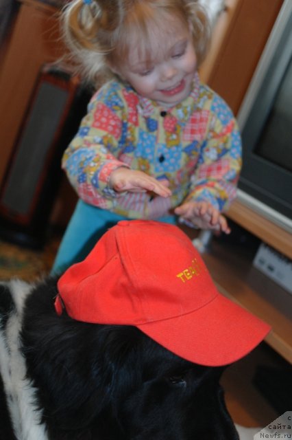 Фотография № 62837