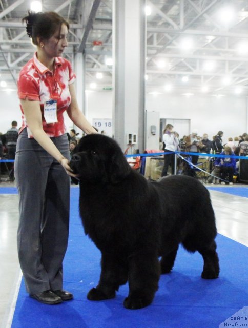 Фотография № 62838