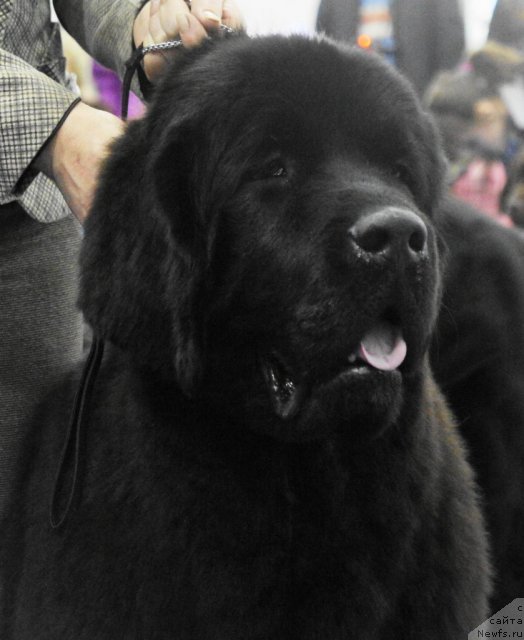 Фотография № 62842