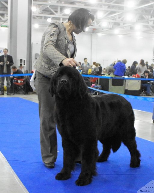 Фотография № 62843