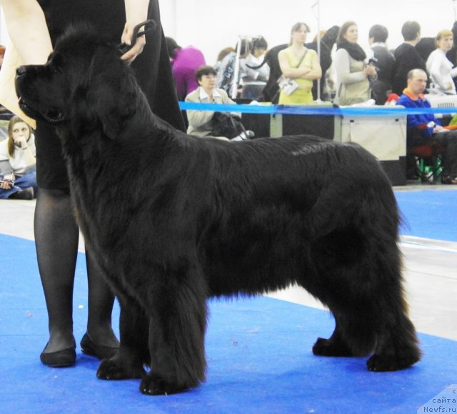 Фотография № 62844