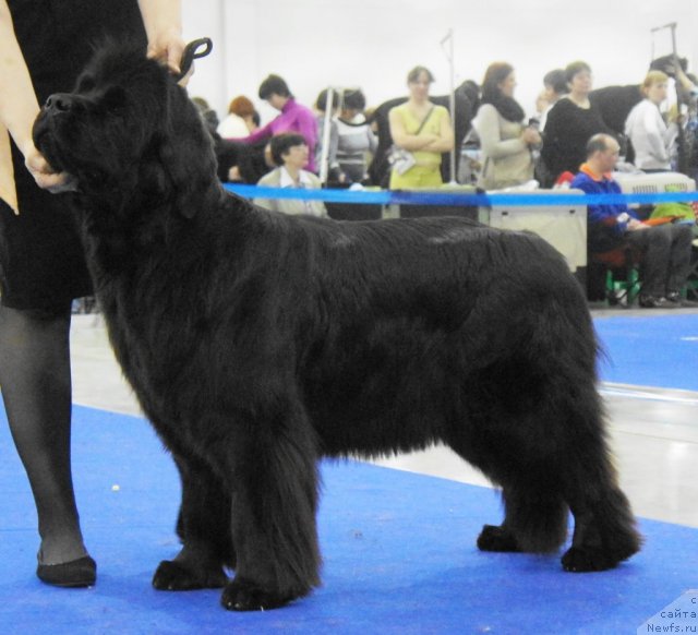 Фотография № 62845