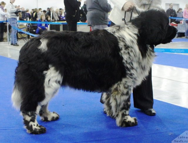 Фотография № 62848