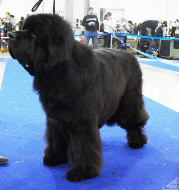 Фотография № 62858