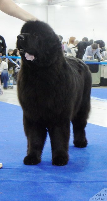 Фотография № 62860