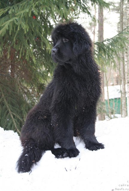 Фотография № 62864