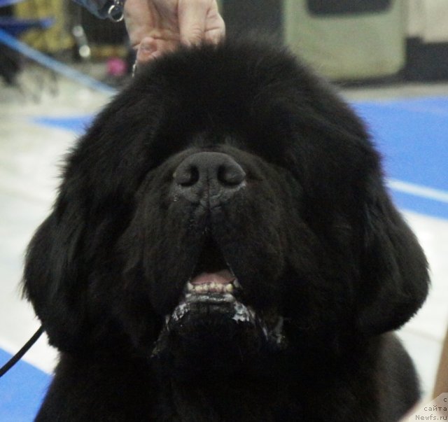 Фотография № 62866