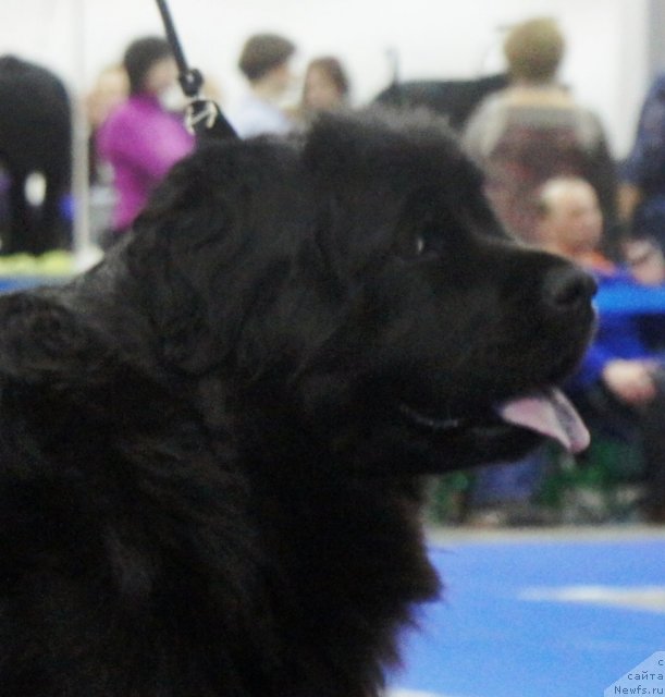 Фотография № 62870