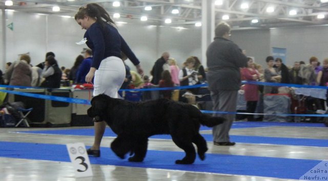 Фотография № 62872