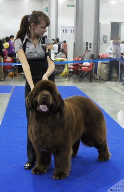 Фотография № 62878