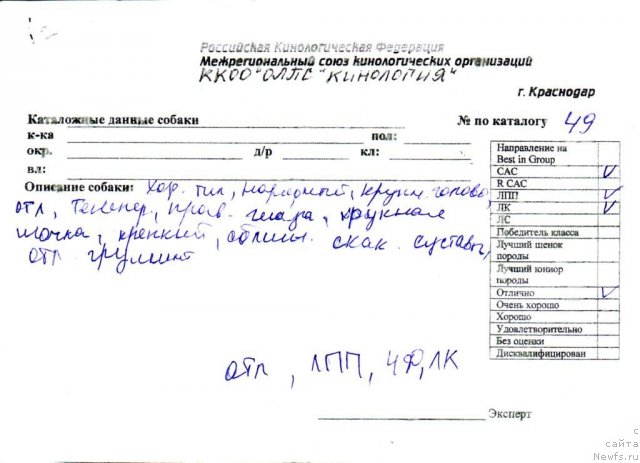 Фотография № 62887