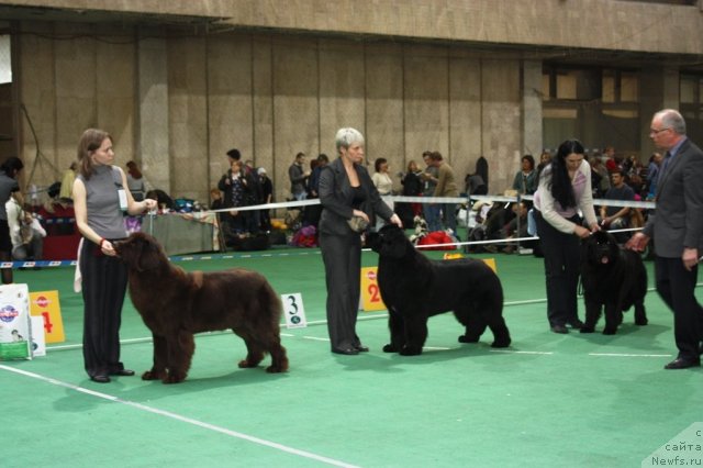 Фотография № 62894