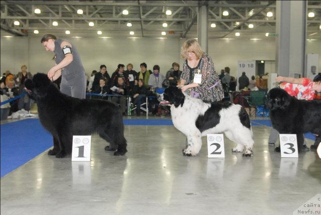 Фотография № 62905