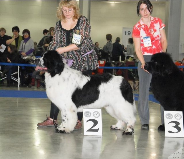 Фотография № 62907