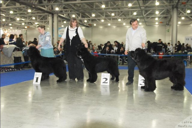 Фотография № 62908