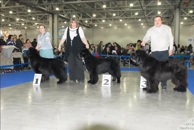 Фотография № 62909