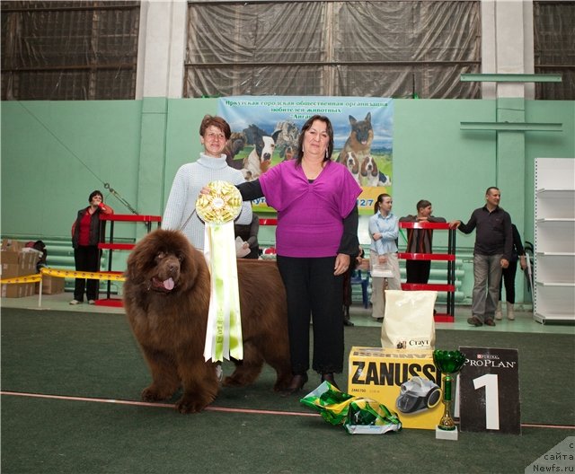 Фотография № 62923