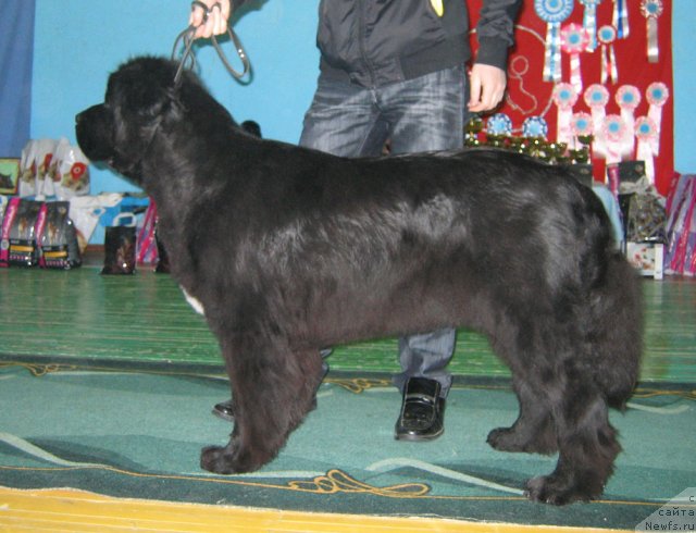 Фотография № 62929