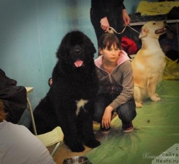 Фотография № 62931