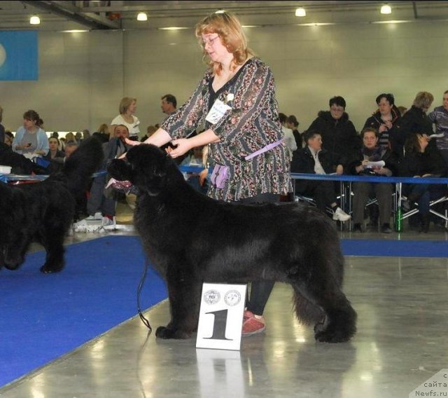 Фотография № 62947