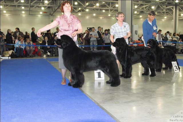 Фотография № 62948