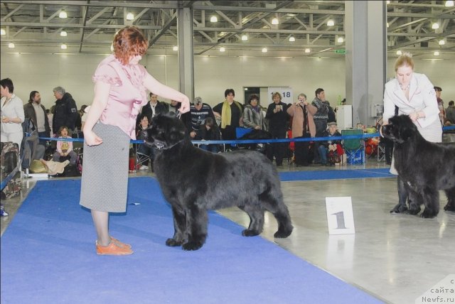 Фотография № 62950