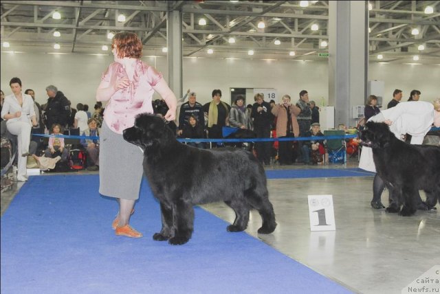 Фотография № 62951