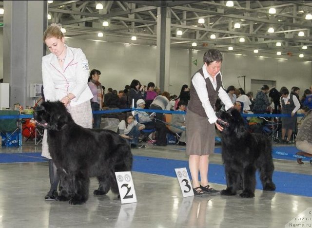 Фотография № 62953