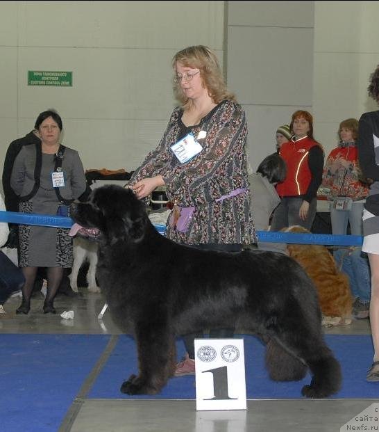 Фотография № 62966