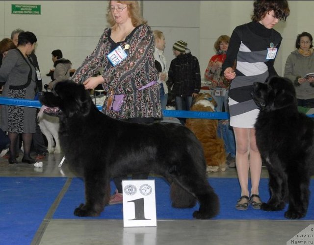 Фотография № 62967