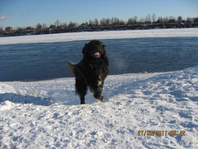 Фотография № 62989