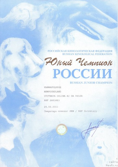 Фото: ньюфаундленд Уютная Долина Ай да Хельга (Uyutnaya Dolina Ai da Helga)