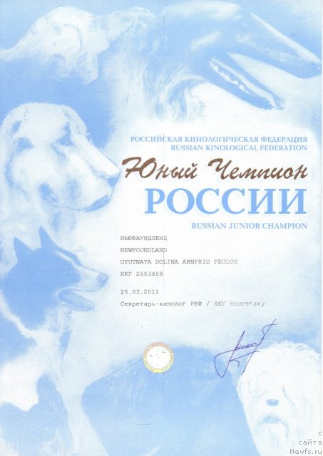 Фото: ньюфаундленд Уютная Долина Арнфрид Феодор