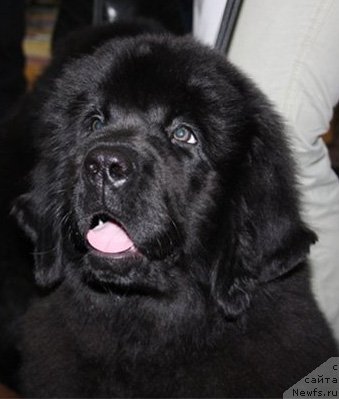 Фотография № 63056