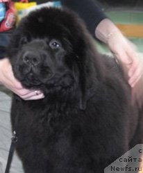 Фотография № 63061