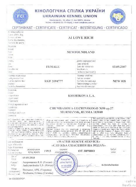 Фото: ньюфаундленд Ай Лав Рич (Ai Love Rich)
